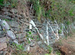 Choquequirao Trek