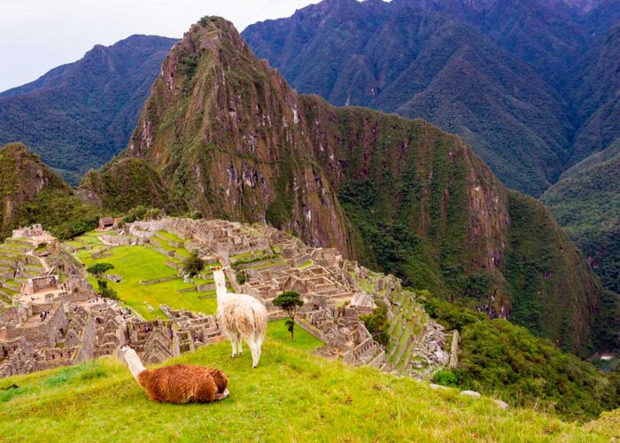 Machu Picchu Tour